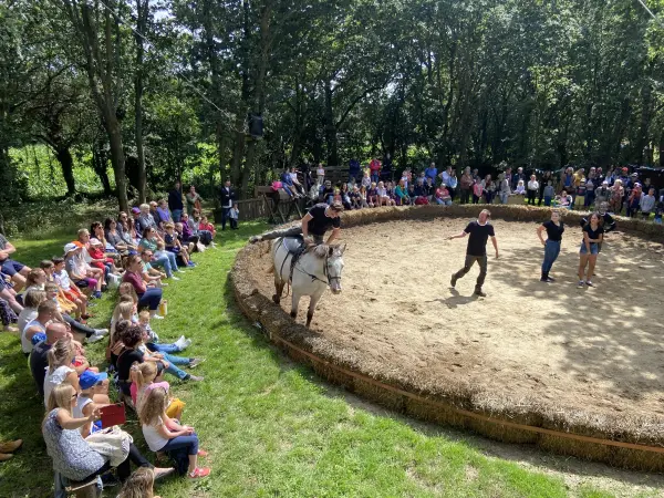 Parco zoologico Rêver Réalité - Attività - Vacanze e Weekend a Champeaux