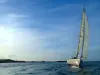 Paseo en velero por Les Abers - Actividad - Vacaciones y fines de semana en Landéda