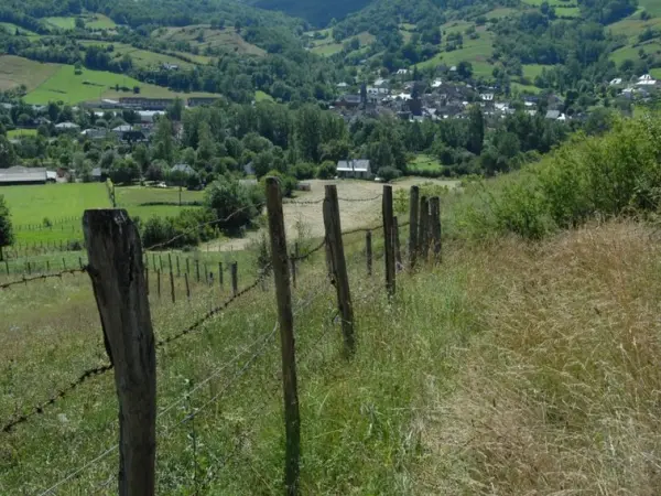 Passeggiata botanica e laboratorio di piante - Attività - Vacanze e Weekend a Clairvaux-d'Aveyron