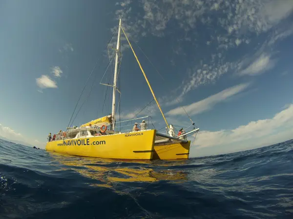 Passeggiata al mare con grigliate, nuoto e delfini  - Attività - Vacanze e Weekend a Canet-en-Roussillon