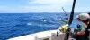Pêche au gros au large de la Guadeloupe - Au départ de Bouillante - Activité - Vacances & week-end à Bouillante