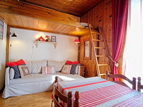 Petit appartement face au mont blanc 02 - Rental - Holidays & weekends in Passy