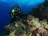 Plongée sous-marine dans la baie de Saint-Leu - Activité - Vacances & week-end à Saint-Leu
