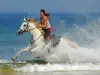 Randonnée à cheval en forêt et sur la plage - Activité - Vacances & week-end à Mimizan
