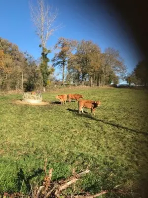 Ratatouille Chambre d'hôtes à MayrinhacLentour