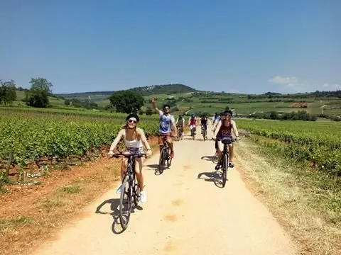 Rondleiding op de fiets door de wijngaard - Activiteit - Vrijetijdsbesteding & Weekend in Beaune