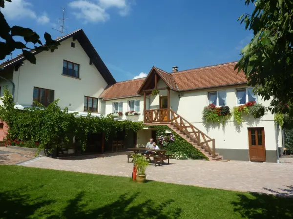 Rose des Vignes - Chambre d'hôtes - Vacances & week-end à Orschwiller