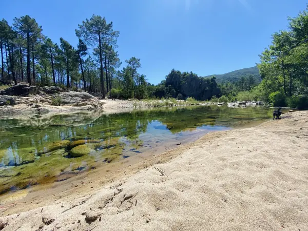 U Rosumarinu - Parque de campismo - Férias & final de semana em Sari-Solenzara