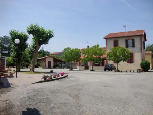 Rural Gite'la Barraquesse' - 租赁 - 假期及周末游在Ludiès