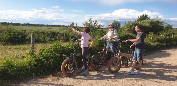 Safari vélo électrique en Camargue - Activité - Vacances & week-end à Aigues-Mortes
