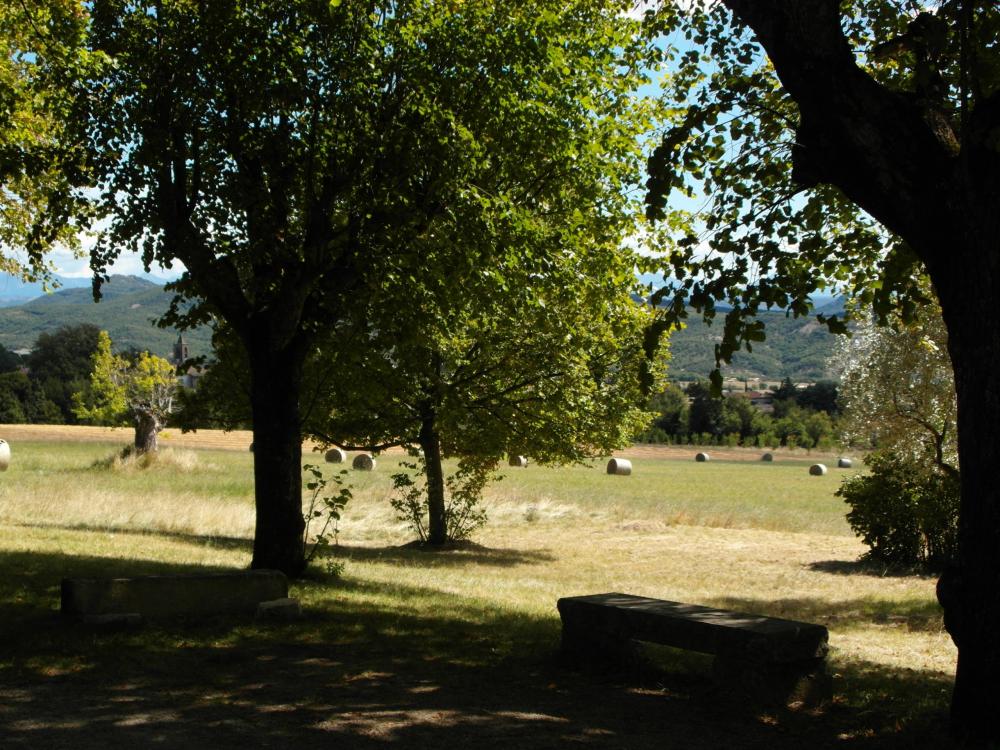Sarl Vitaverde