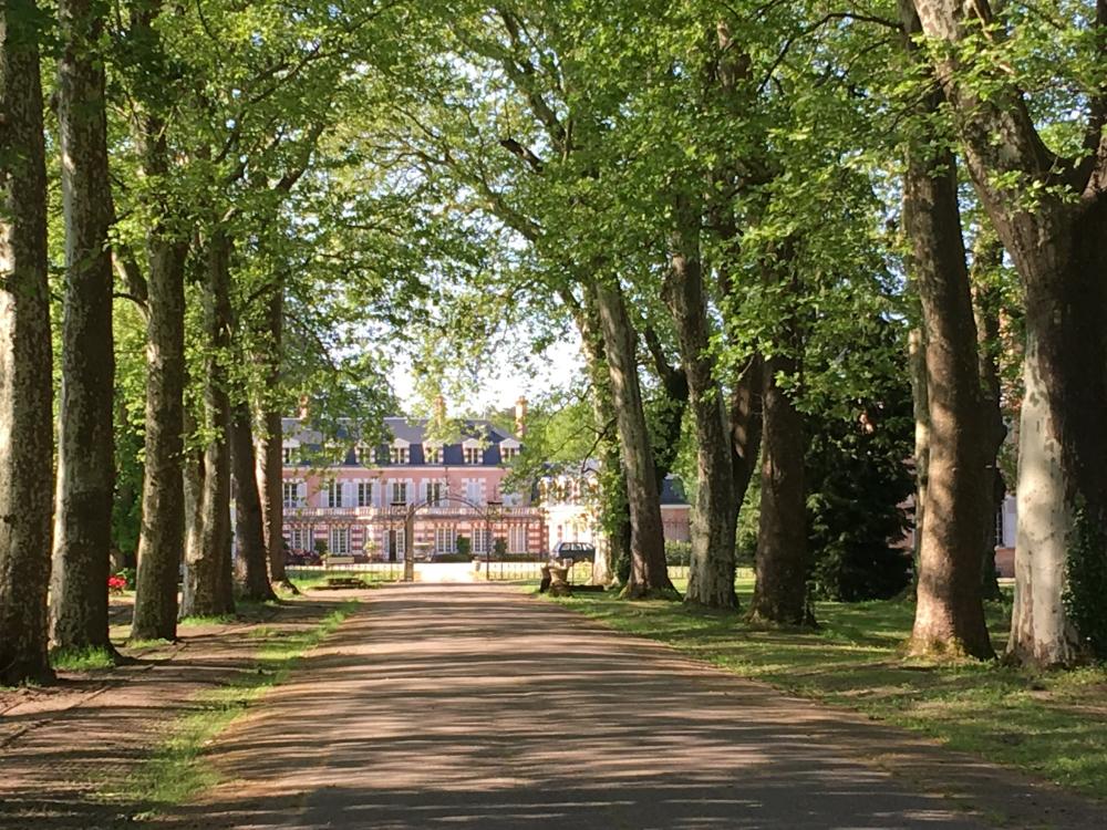 Schönes Zimmer im Château in Sologne - Die Platanenallee