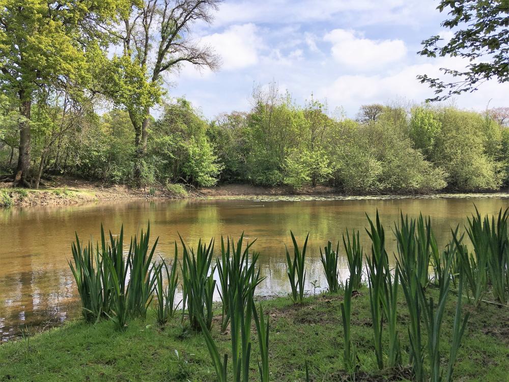 Schönes Zimmer im Château in Sologne - Das Schilf am Fluss