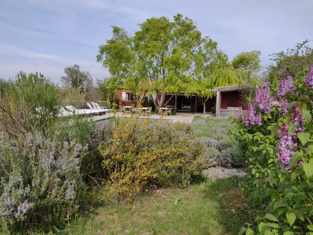 Les terrasses de Valensole