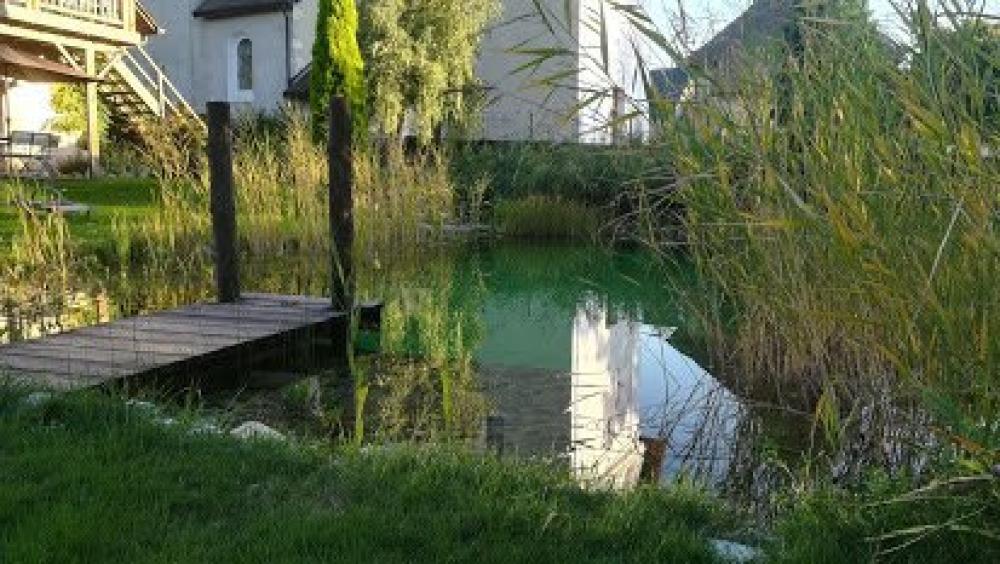 The Green Mare Bed & Breakfast - Das natürliche Schwimmbad im Sommer