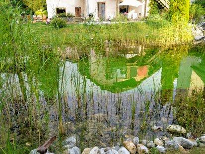 The Green Mare Bed & Breakfast - Das natürliche Schwimmbad im Sommer