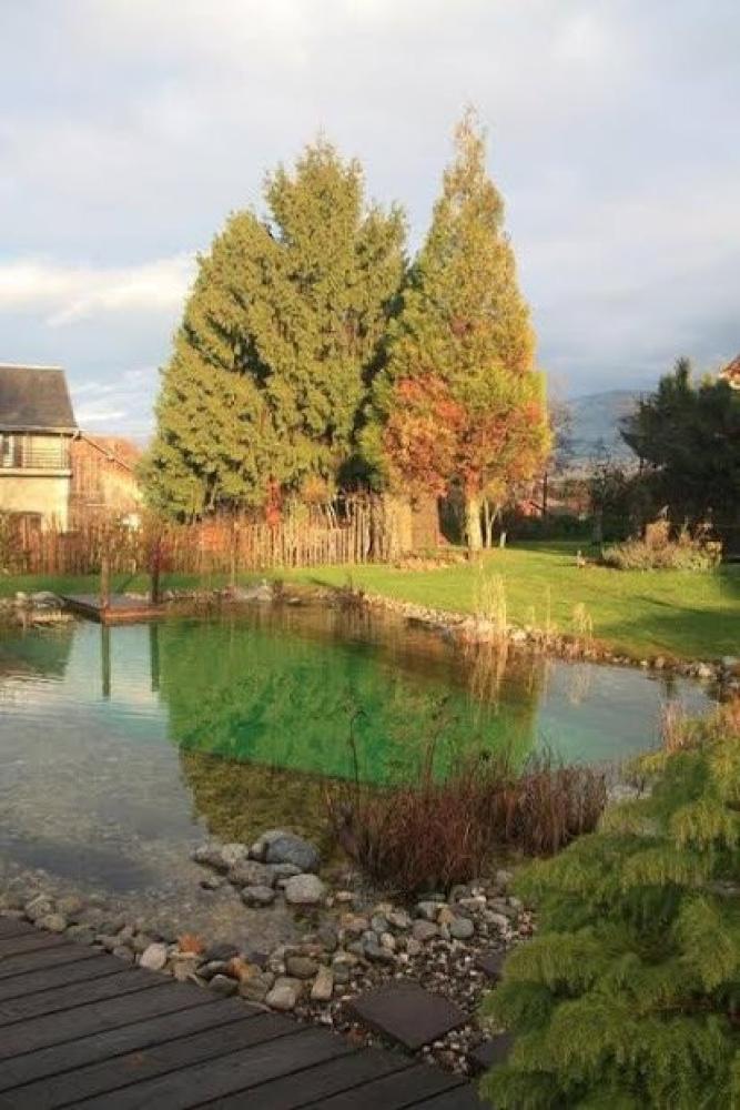 The Green Mare Bed & Breakfast - Das Naturbad im Herbst