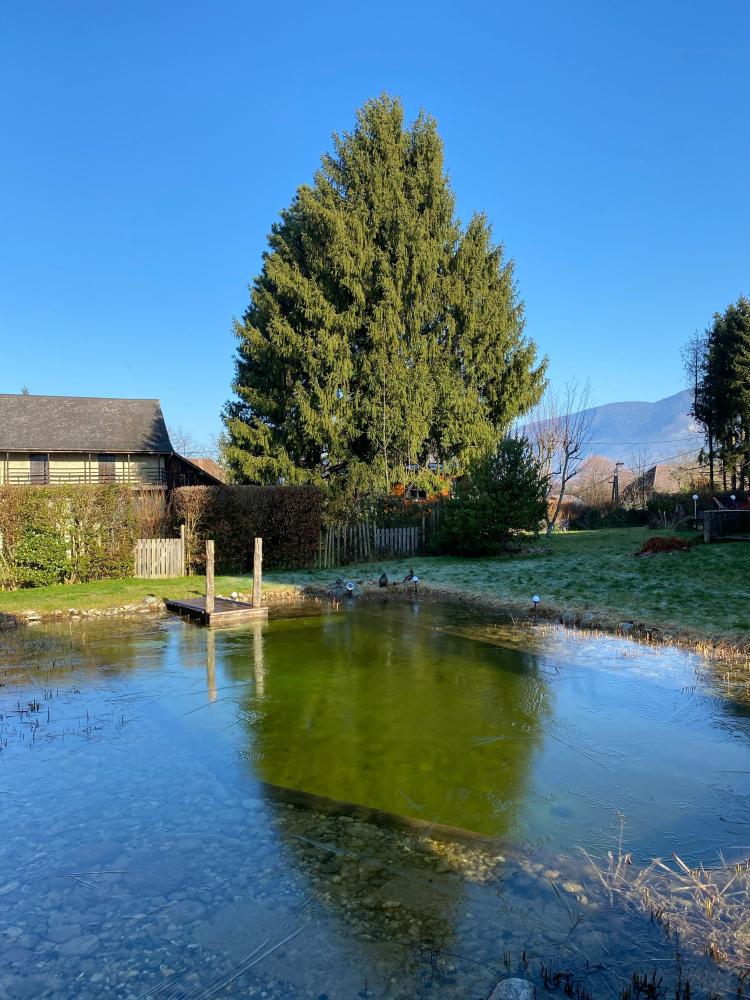 The Green Mare Bed & Breakfast - Das Naturbad im Winter