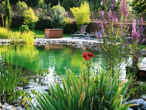 The Green Mare Bed & Breakfast - Das Naturbad