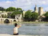 Tour en Provence : Découverte d'Avignon et visites des villages de l'arrière pays provençal - En français - Activité - Vacances & week-end à Aix-en-Provence