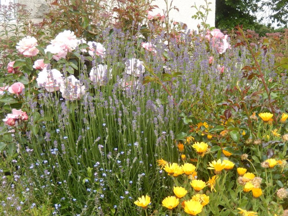 Le Tregonnec - Garten