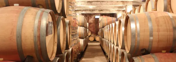 Turnê adega e degustação de vinhos no Domaine de Montmain - Atividade - Férias & final de semana em Villars-Fontaine