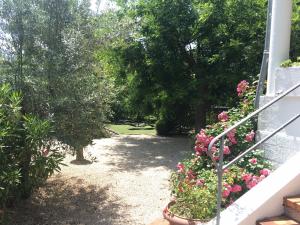 Uzes Villa Avec Jardin Et Piscine Bois Vacation Rental In Uzès
