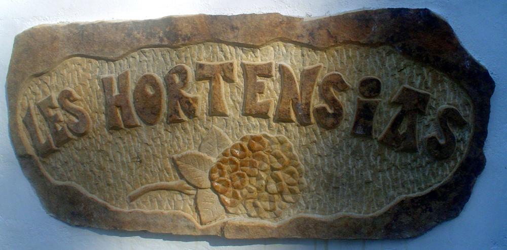 Villa Les Hortensias - Wandtafel : Die Hortensien