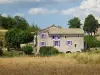 Visit a saffron and red fruit farm - Activity - Holidays & weekends in Noyers-sur-Jabron