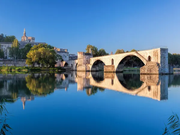 Visita guiada de Aviñón y el Palais des Papes - Actividad - Vacaciones y fines de semana en Avignon