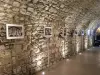 Visite uma galeria de arte em um cofre medieval - Atividade - Férias & final de semana em Pierrevert