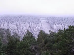 Первый снег на горе Венту