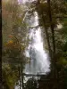 Рунический водопад