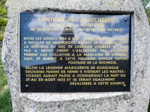 Фонтан герцогини - пояснительная табличка (© J. E)
