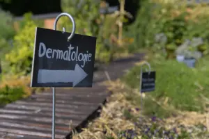 Сад лекарственных растений из огорода Шато д'Аквиньи