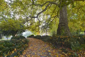 Восточный самолет, нависающий над монументальным водопадом Шато д'Аквиньи 18-го века