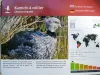 Информация о Камичи с воротником