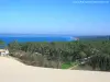 ピラの砂丘から見た盆地（©Jean Espirat）