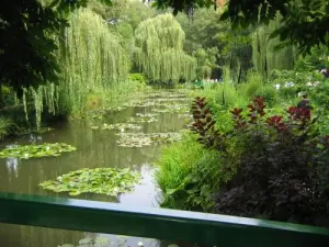 モネ庭園の池