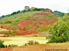 Montaigutの城 - Camarès（©Jean Espirat）