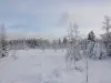 偉大な怒りの泥炭