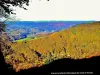 ヴァンヌの山々から見たラヒンの谷（©Jean Espirat）