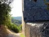 修道士の庭に沿った道