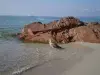 Palombaggia Beach