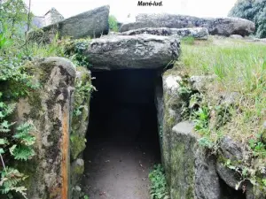 Mané dolmen - Lud - Locmariaquer (© Jean Espirat)