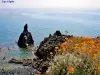 黒っぽい火山煙突の残骸 (© JE)