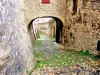 从内部看堡垒中的第一个入口门槛（©J.E）