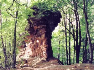 Rochers Langenfels（©Jean Espirat）