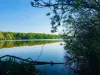 東洋の森の五大湖 - アマン湖