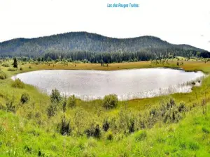 红湖鳟鱼 - 全景（©Jean Espirat）